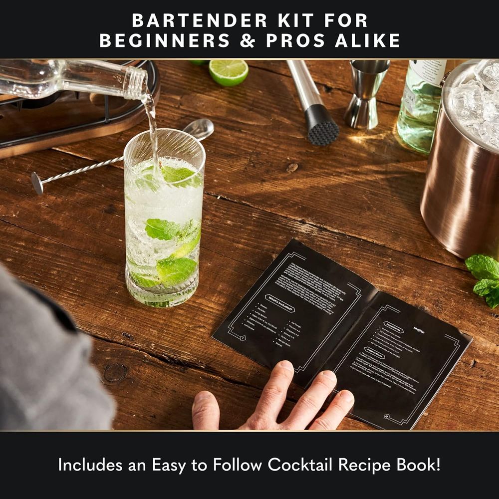22-Piece Cocktail Shaker Set w - Cocktail Recipe Book ulasan dan harga